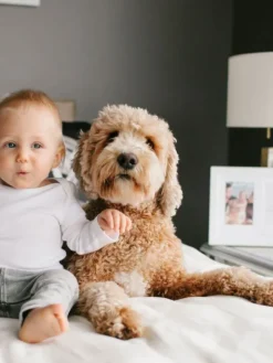 Best Friends Forever -kehys – Lapsi & Lemmikki