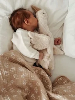 Hanhi pehmolelu, sisällä lämpötyyny, small