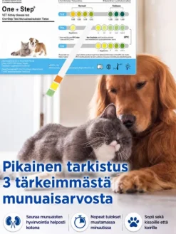 Kidney Check Munuaistesti eläimille 1 kpl