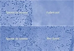 PRESEED siittiöystävällinen liukuvoide