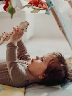 Sophie The Giraffe luomupurulelu